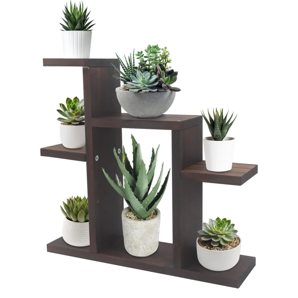 jardines de escritorio: jardín vertical