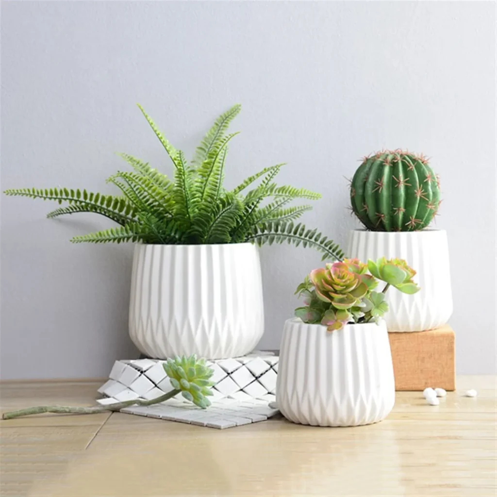 plantas en macetas minimalistas de cerámica